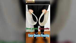 Sistema de cría de abeja reina sin injerto