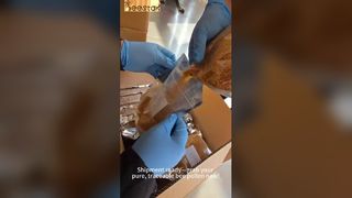 Polen de abeja premium: muestreo, trazabilidad y frescura hermética