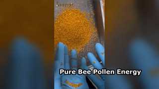 Potenciador de energía natural de polen de abeja puro