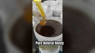 Miel cruda pura Miel de abeja natural orgánica
