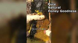 Por qué la miel negra es el superalimento definitivo para tu despensa