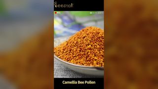 Polen de abeja crudo orgánico Energía natural y bienestar