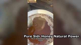 Aumento de energía natural de miel pura Sidr