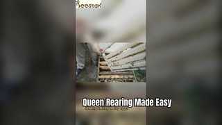 Herramienta de apicultura plegable Queen Rearing Cage