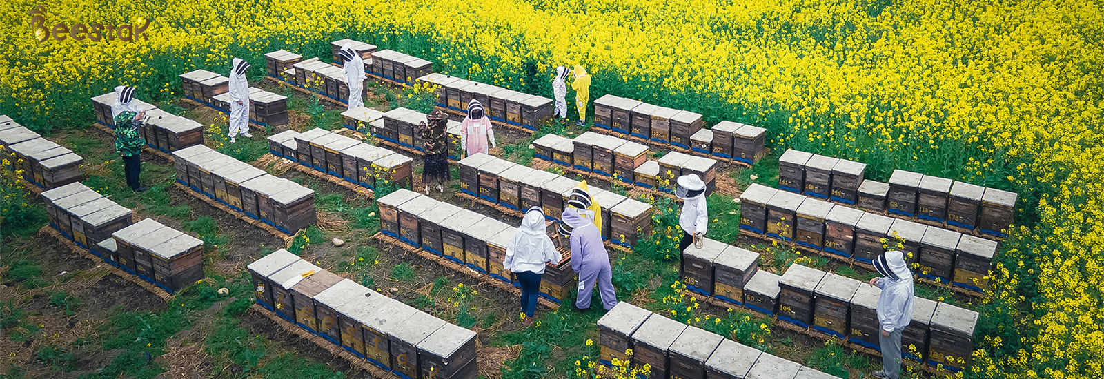 calidad Miel natural de la abeja fábrica