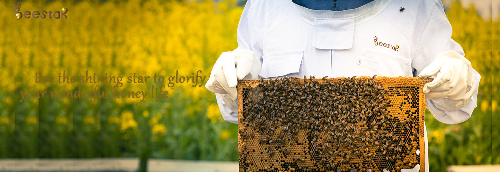 calidad Cera de abejas natural pura fábrica