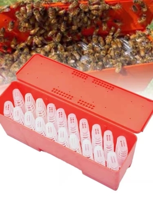 comprar Jaula plástica roja de la abeja reina para la abeja reina que alza la jaula de la reina de la apicultura del sistema fabricación en línea