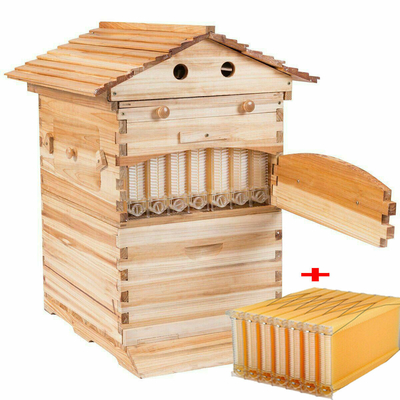 comprar Estrella de abejas Langstroth Colmena de flujo Colmena con 7 marcos de plástico Colmenas y marco para la apicultura fabricación en línea