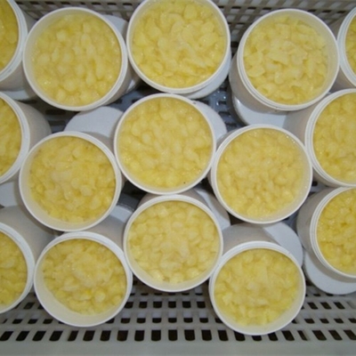 comprar 10-HDA 1,8% orgánica, fresca, jalea real 100% pura fabricación en línea