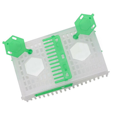 comprar Beestar Venta al por Mayor de Alta Calidad Jaula Reina Plegable de Plástico Sistema de Cría Equipo de Apicultura para Abejas fabricación en línea