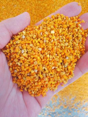 comprar Polen De Abeja Crudo Fresco Mezclado Lleno De Nutricion Big Granual fabricación en línea