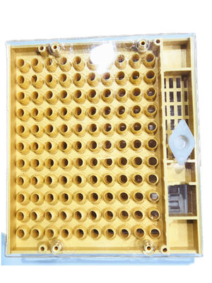 comprar Reina que alza a la reina de la caja de Cupkit que alza el sistema Cupularve para la apicultura fabricación en línea