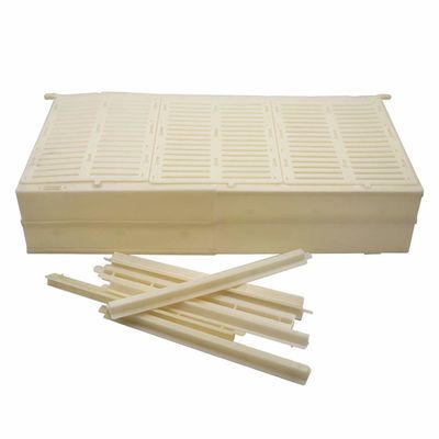comprar Abeja reina plástica durable Controler que se alza de Talian de los marcos de doble fabricación en línea