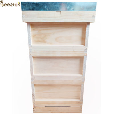 comprar Equipo de colmena de madera de estilo Langstroth para apicultura y apicultura fabricación en línea