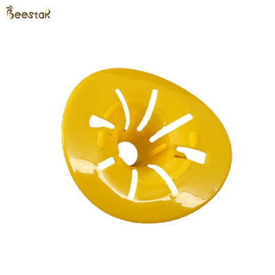 comprar Plástico Simple Hornet Killer Honey Bee Catcher Accesorios para colmenas Insectos Trampa para avispas fabricación en línea