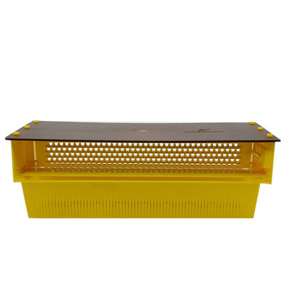 comprar Trampa plástica Tray Entrance Pollen Collector del polen de los accesorios flexibles de la colmena fabricación en línea