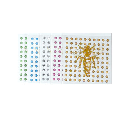 comprar La apicultura de Apicultura equipa al marcador de la abeja reina del polímero para la cría de la abeja reina fabricación en línea