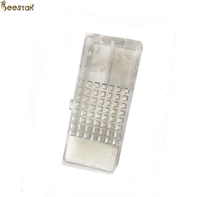 comprar Jaula clara transparente de la abeja reina con la jaula de la introducción de la reina de la espuma para la apicultura fabricación en línea