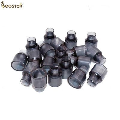 comprar Tazas plásticas de la célula de la abeja reina de la apicultura de la apicultura al por mayor de las herramientas para la apicultura fabricación en línea