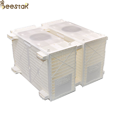comprar Jaula plástica de la abeja de la instalación de la abeja del paquete del autobús de la abeja del equipo de la colmena fabricación en línea