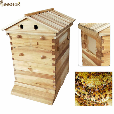 comprar Equipo de apicultura de colmenas de abejas automático de flujo automático para apicultura fabricación en línea