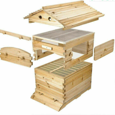 Cuadros de colmenas de abejas de flujo propio Cuadros de colmenas de madera y madera de abeto para la apicultura