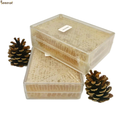 Miel de abeja natural de Beestar 100% natural y delicioso miel de panal para el consumo directo