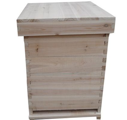 La abeja de madera del abeto chino de alta calidad encorcha fácil montar la colmena natural de Dadant del material