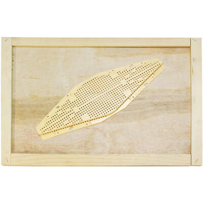 Reductor de Entrada de Colmena de Abejas ABS Rombo Dispositivo Anti-Escape con Función de Liberación de Zánganos