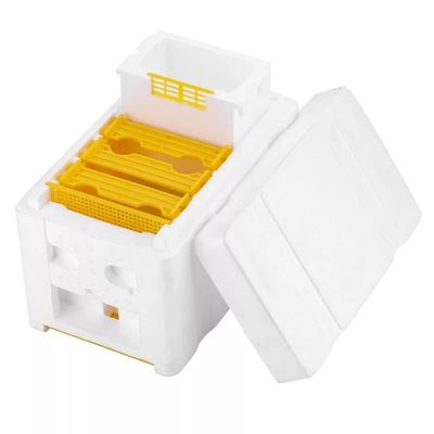 El alzarse de acoplamiento de la reina de la apicultura de la caja de la cría de la espuma de la abeja del equipo de una sola capa de la colmena