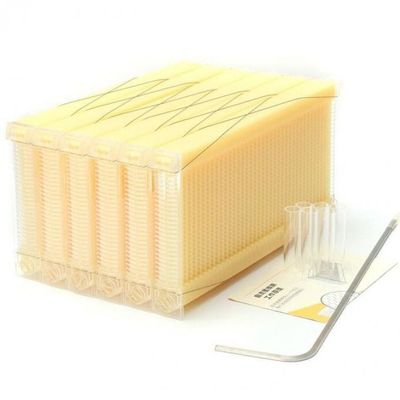 Cuadro de flujo de miel de plástico de grado alimenticio de 49,5*24,5 cm para miel que fluye por sí misma en colmena de flujo