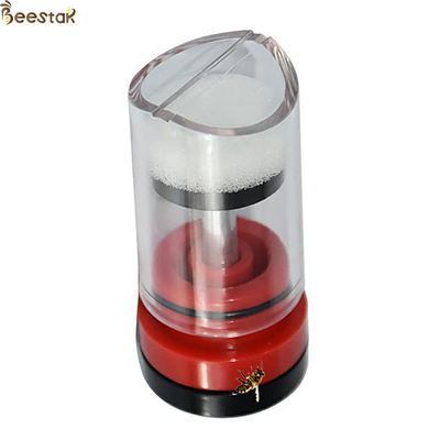 Marcador Mark Plastic Box Queen Rearing transparente rojo de la abeja reina